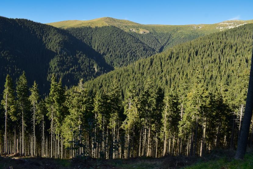  - Inceput de septembrie