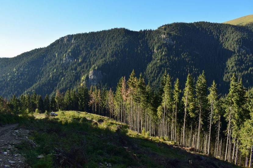  - Inceput de septembrie