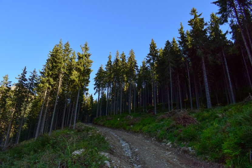  - Inceput de septembrie