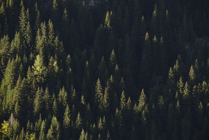  - Inceput de septembrie