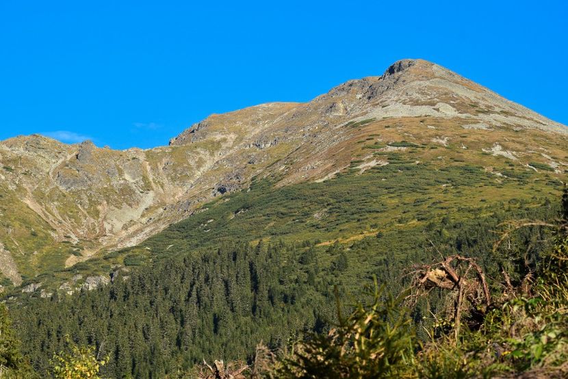  - Inceput de septembrie