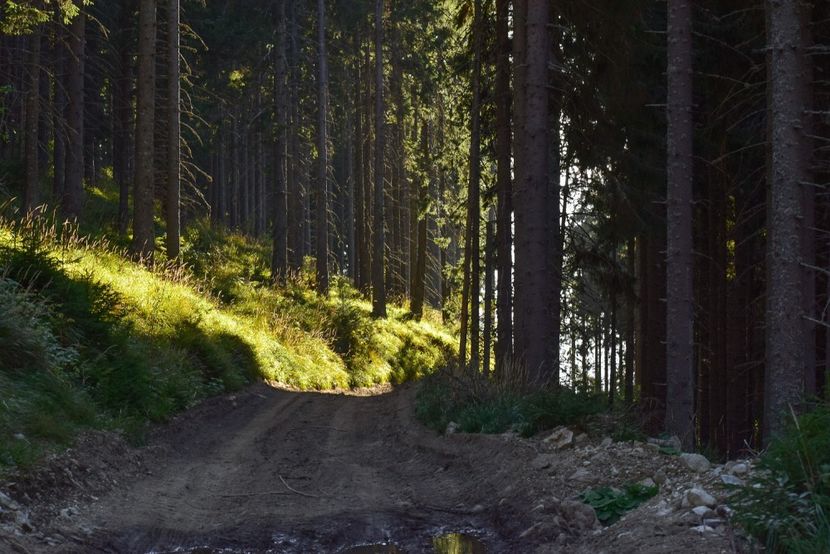  - Inceput de septembrie