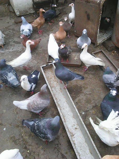 Photo1607 - Instantanee