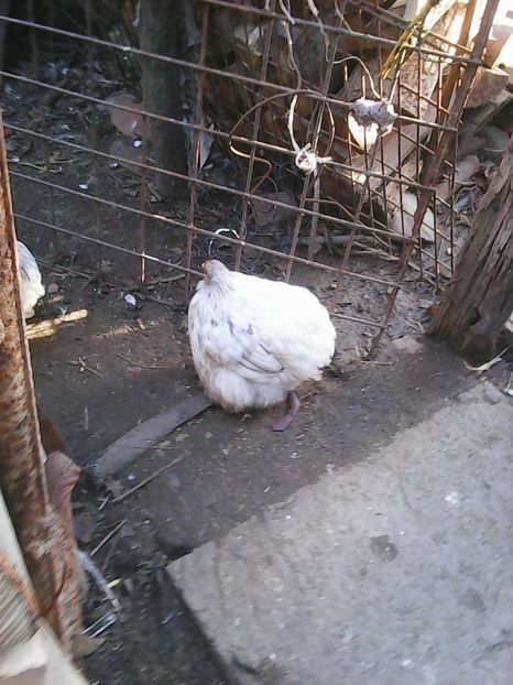 Photo1620 - Instantanee