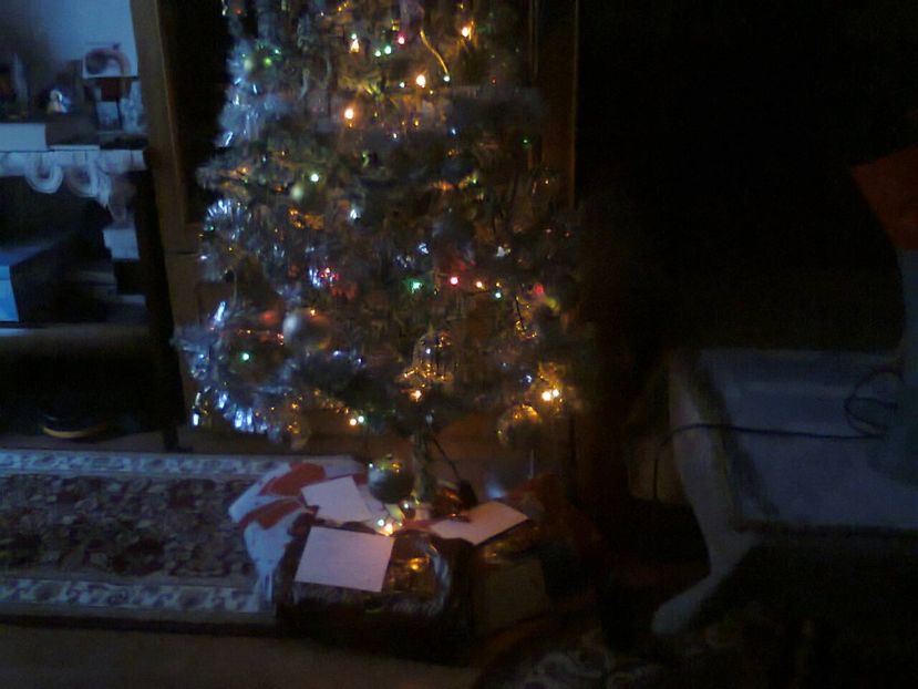 Fotografie4827 - 2018 CRĂCIUN ÎN FAMILIE 26dec