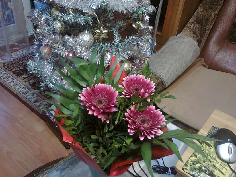 Fotografie4829 - 2018 CRĂCIUN ÎN FAMILIE 26dec