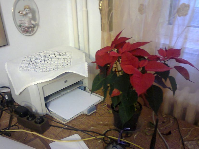 Fotografie4831 - 2018 CRĂCIUN ÎN FAMILIE 26dec