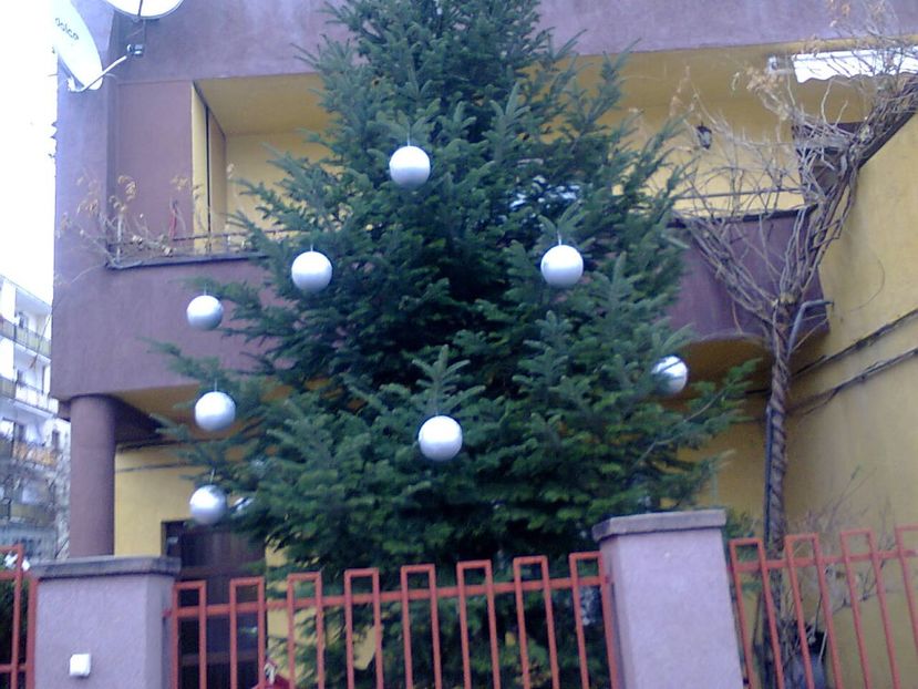 Fotografie4837 - 2018 CRĂCIUN ÎN FAMILIE 26dec