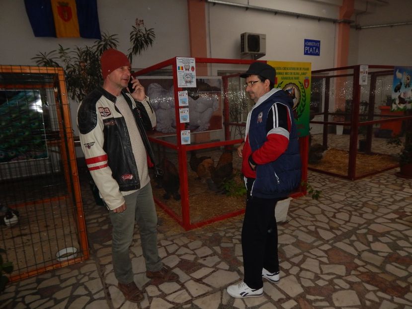  - Sannicolau Mare Noiembrie 2018