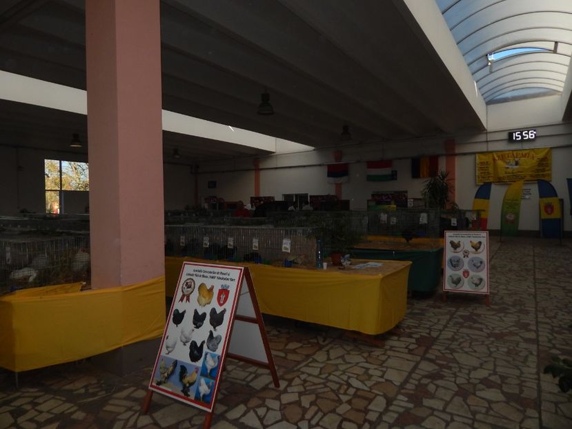  - Sannicolau Mare Noiembrie 2018