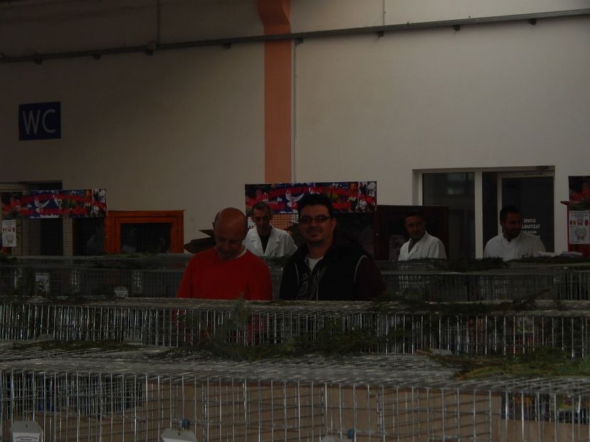  - Sannicolau Mare Noiembrie 2018