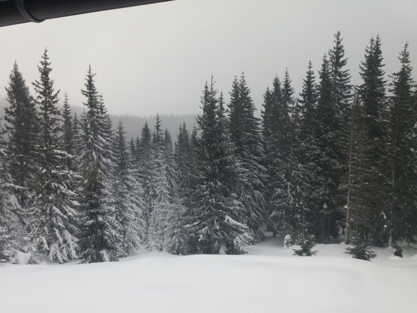  - Crăciun 2018