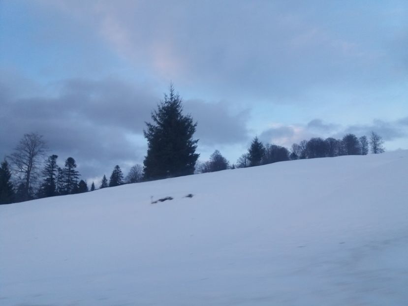  - Crăciun 2018