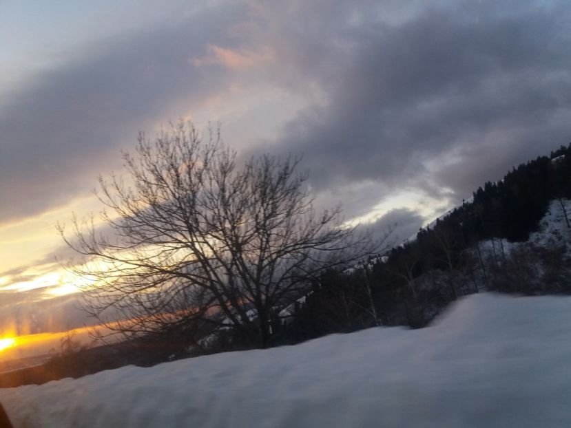  - Crăciun 2018