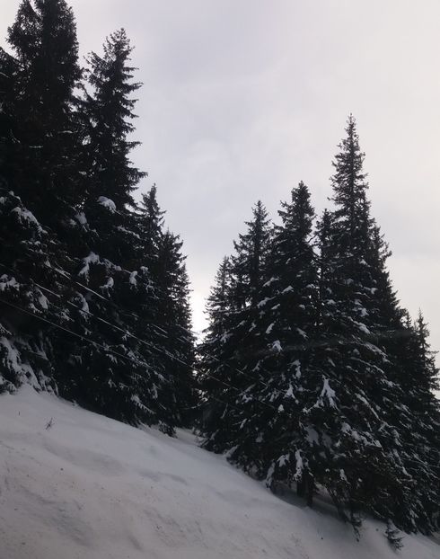  - Crăciun 2018