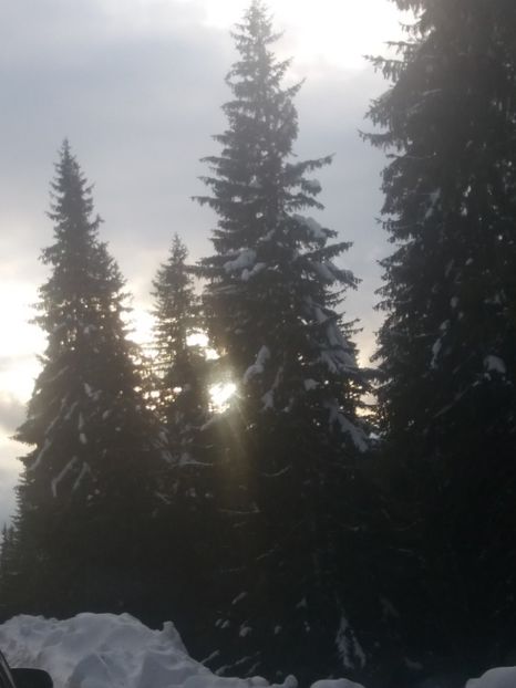  - Crăciun 2018