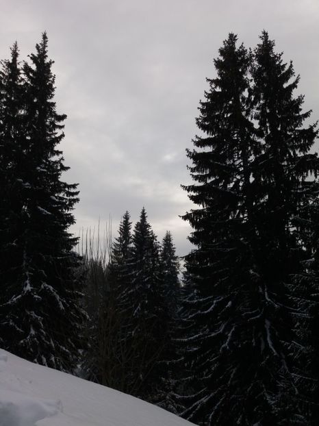  - Crăciun 2018