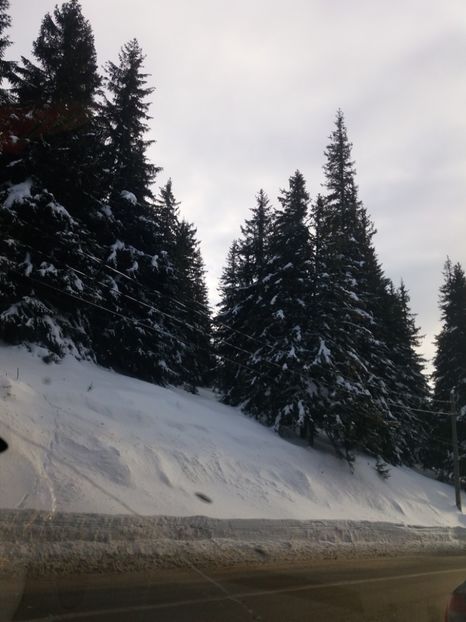  - Crăciun 2018
