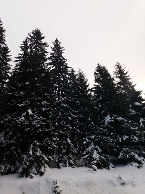  - Crăciun 2018