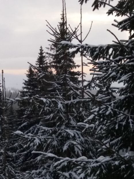  - Crăciun 2018