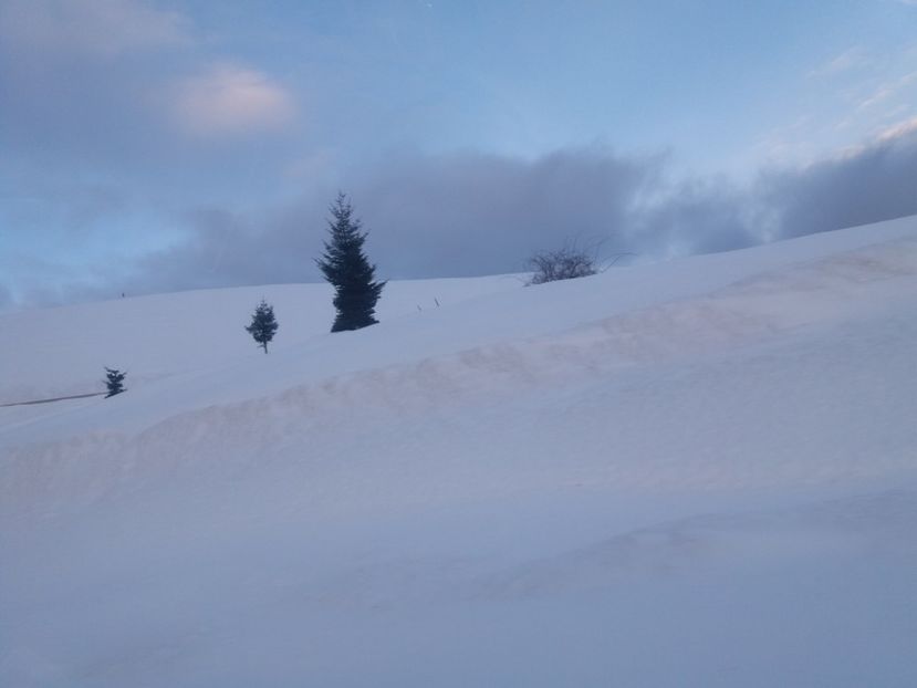  - Crăciun 2018
