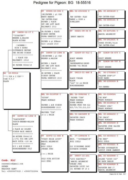 PEDIGREE XENA - Xena