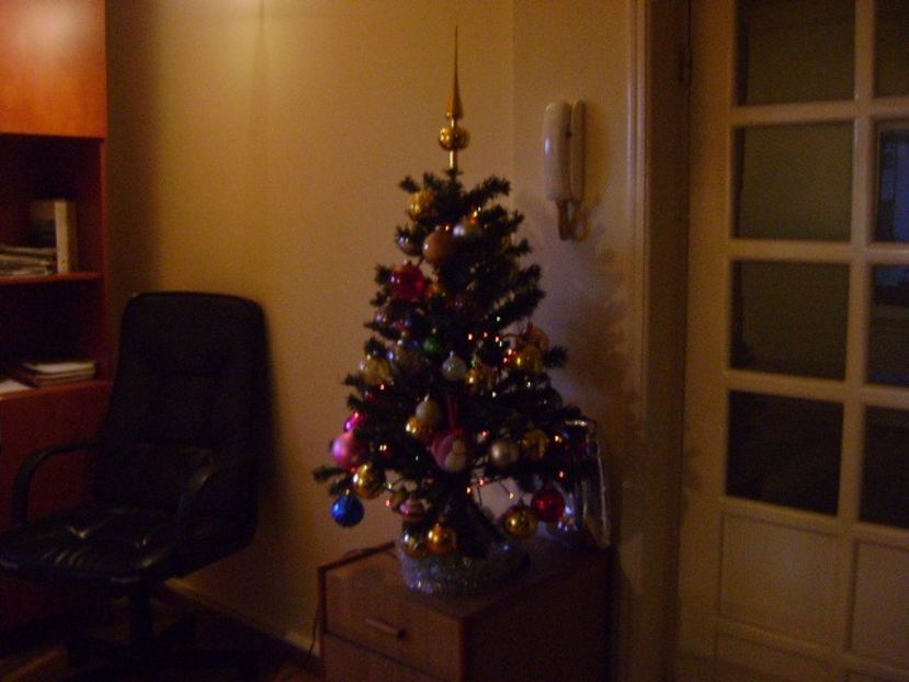 Ajun de Craciun - 2018 - v Iarna 2016-2017-2018