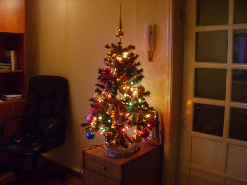 Ajun de Craciun - 2018 - v Iarna 2016-2017-2018