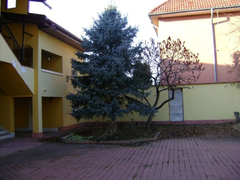 Craciun 2018 - v Iarna 2016-2017-2018