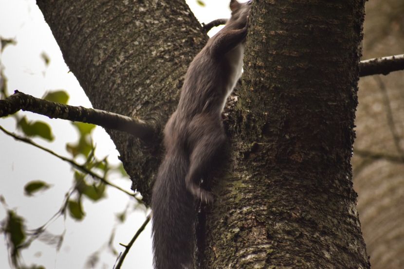  - Inceput de septembrie