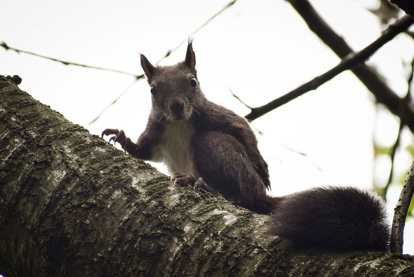  - Inceput de septembrie