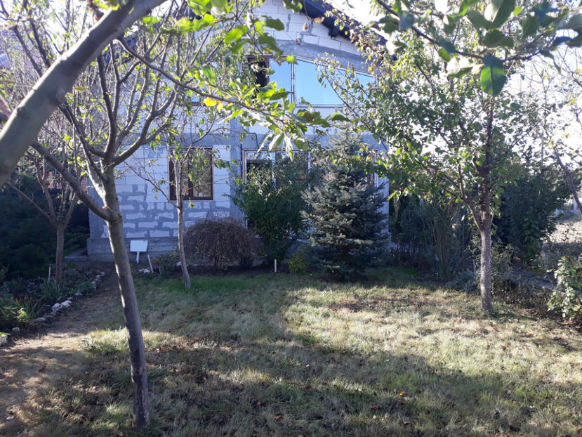  - Gradina si trandafirii 2018 - toamna