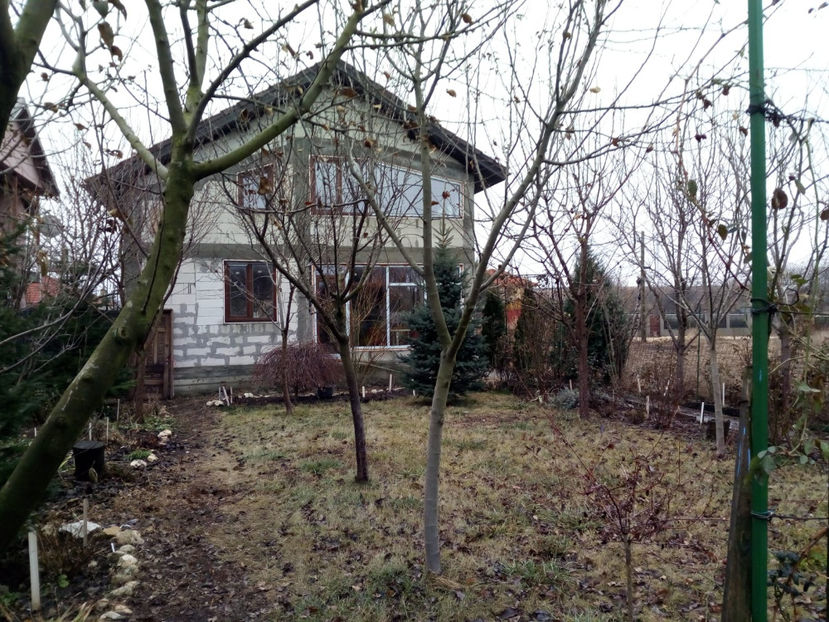  - Gradina si trandafirii 2018 - toamna