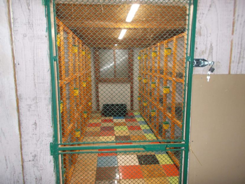 received_524667041351523 - A---RENOVARE ADAPOST