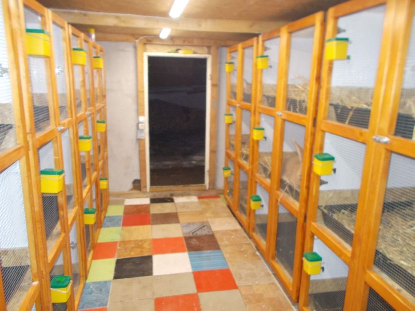 received_384175165685663 - A---RENOVARE ADAPOST