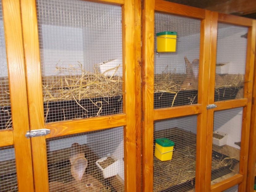 received_321178955399346 - A---RENOVARE ADAPOST