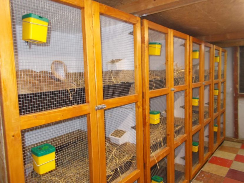 received_296479457666135 - A---RENOVARE ADAPOST