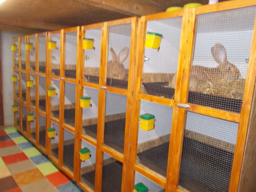 received_1964452157190818 - A---RENOVARE ADAPOST