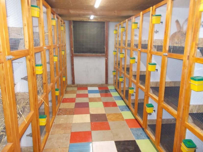 received_2787688327911556 - A---RENOVARE ADAPOST