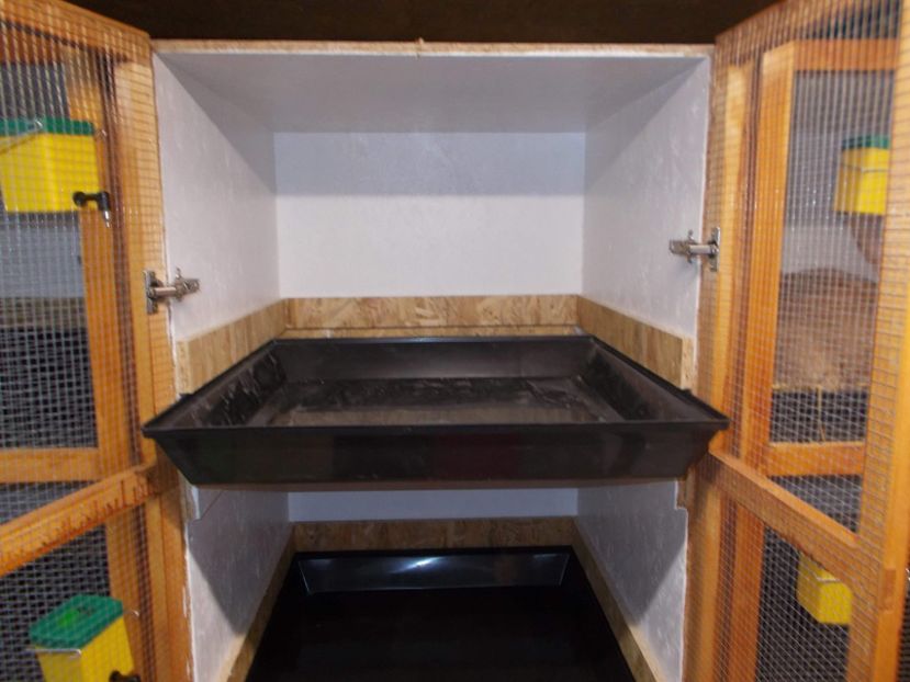 received_354251218693931 - A---RENOVARE ADAPOST