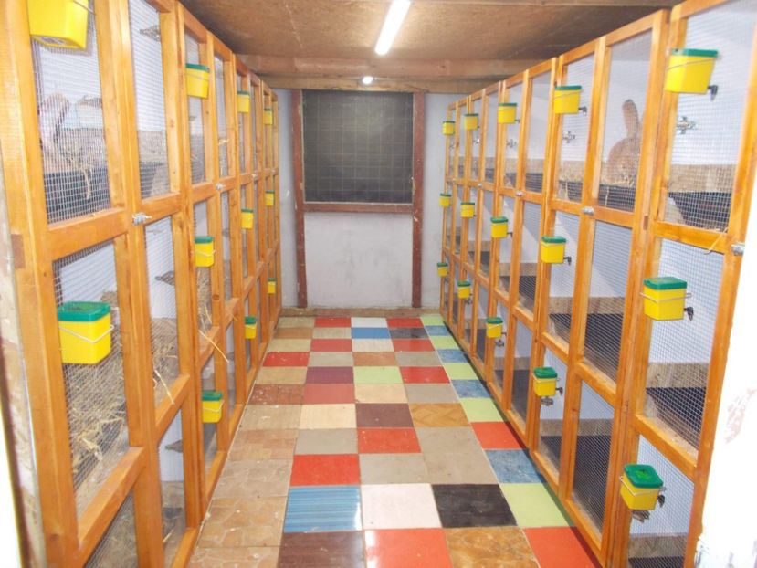 received_2008044579310617 - A---RENOVARE ADAPOST