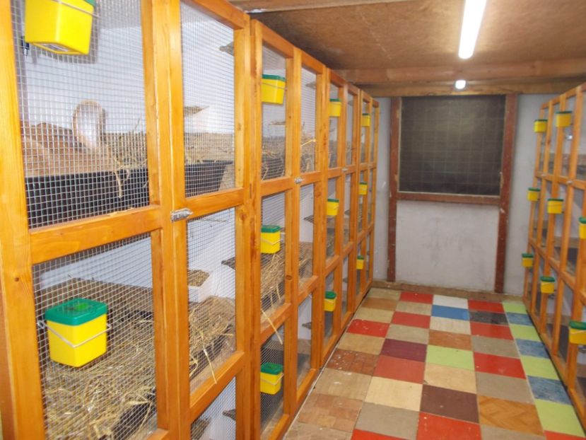 received_349532979205654 - A---RENOVARE ADAPOST