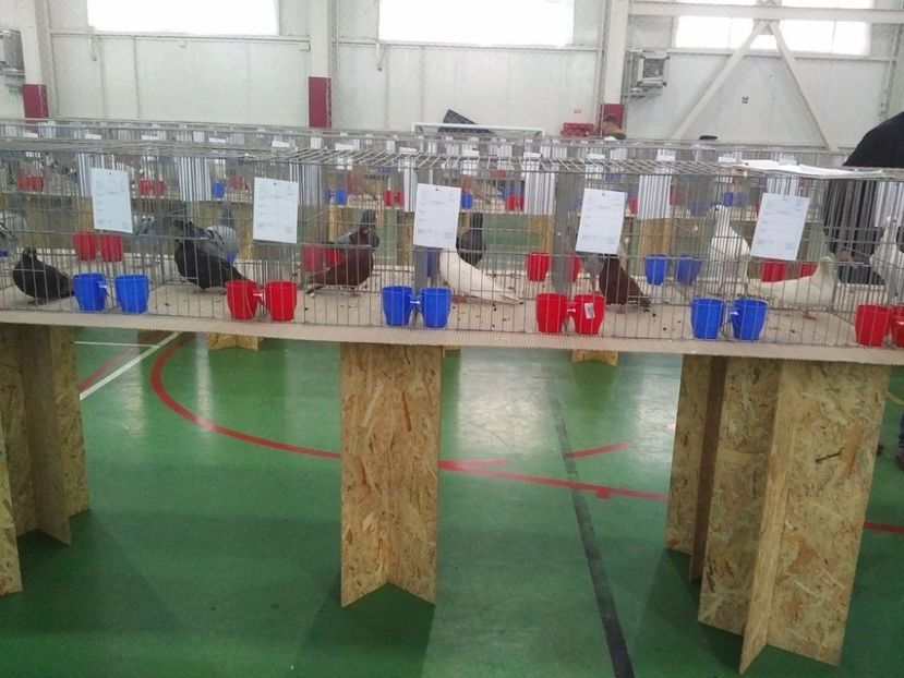  - 1544 Expo Constanta 2018