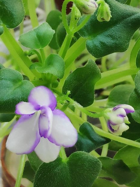 9 dec - Rob s Humpty Doo