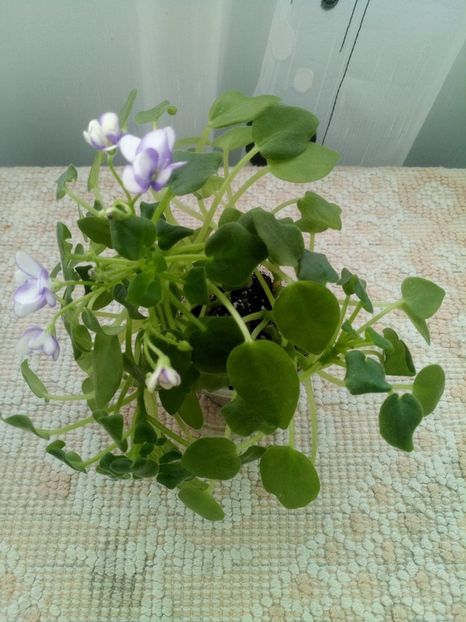 13 dec - Rob s Humpty Doo