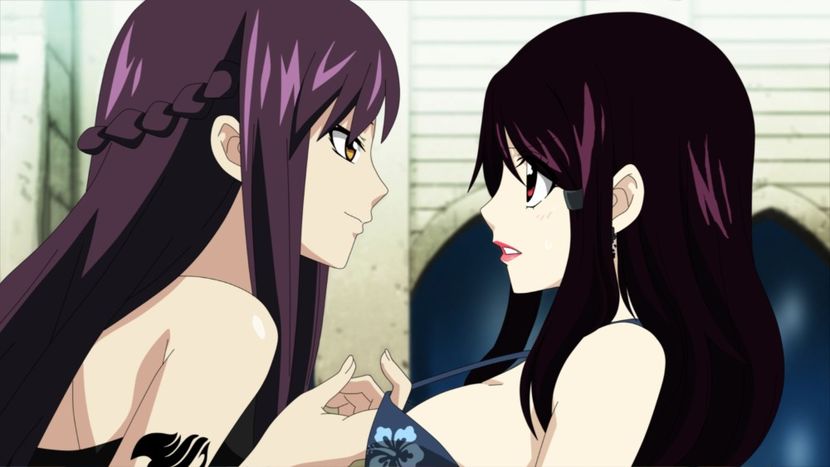 X792 - Murasaki sisters - 4th Fairy Tail Character