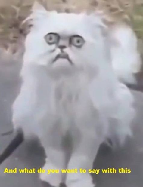 Eurovision 2018 - 2018 Eurovision Song Contest Part 8