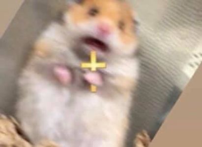 Eurovision 2018 - 2018 Eurovision Song Contest Part 8