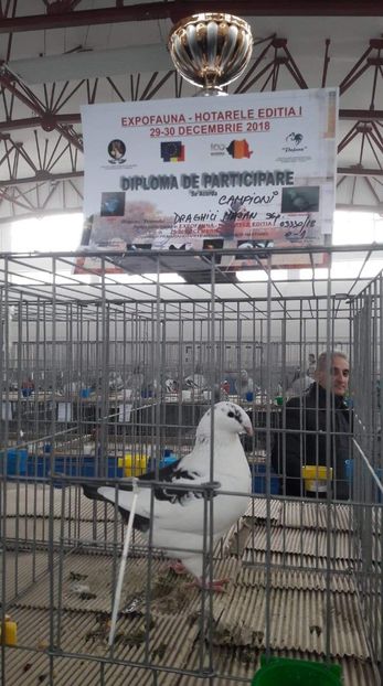 Fem 2018 - Matca AGH 2019