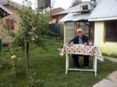 97514005_OKCFPCP3 - In voliera - achizitii